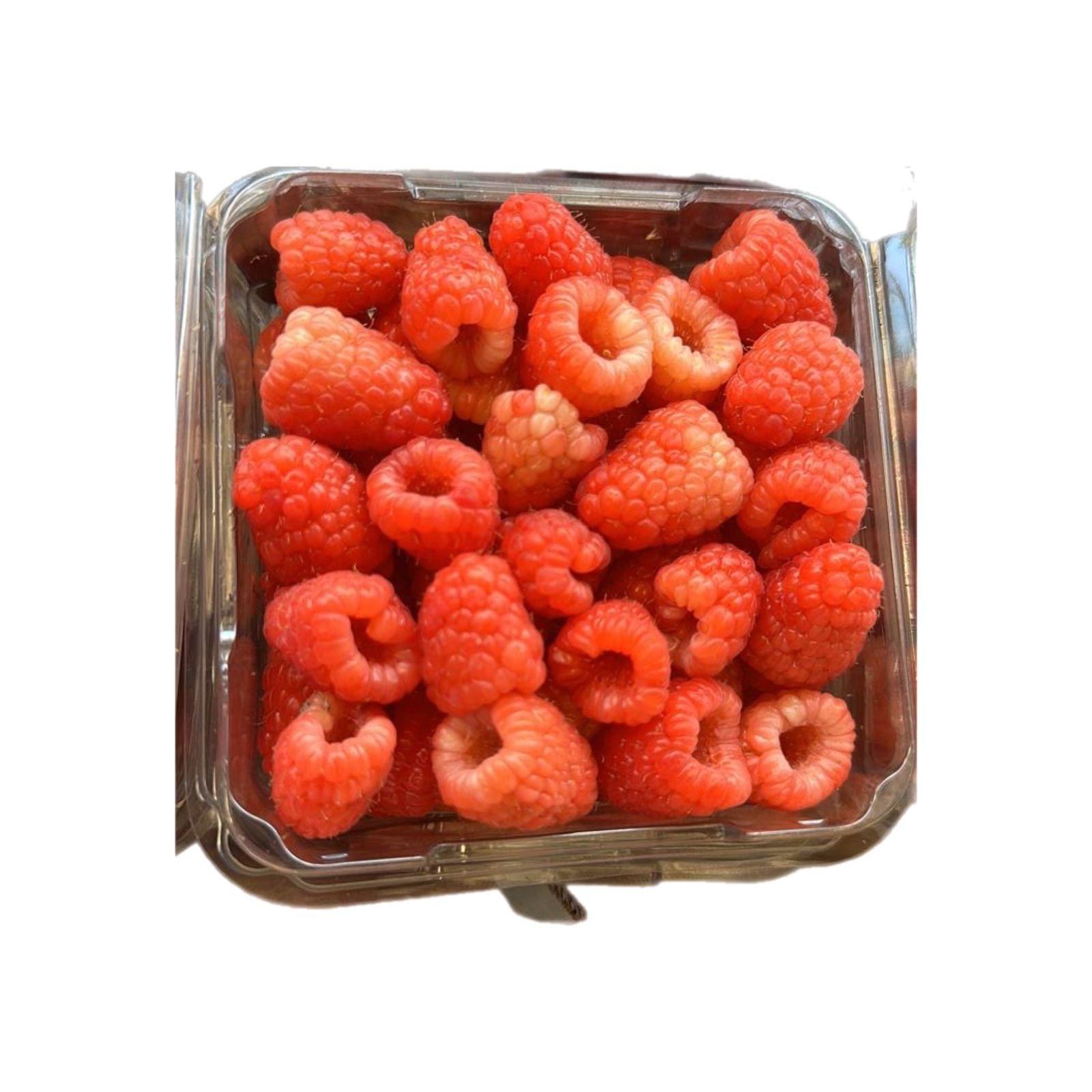 Frambuesa Fresca Domo