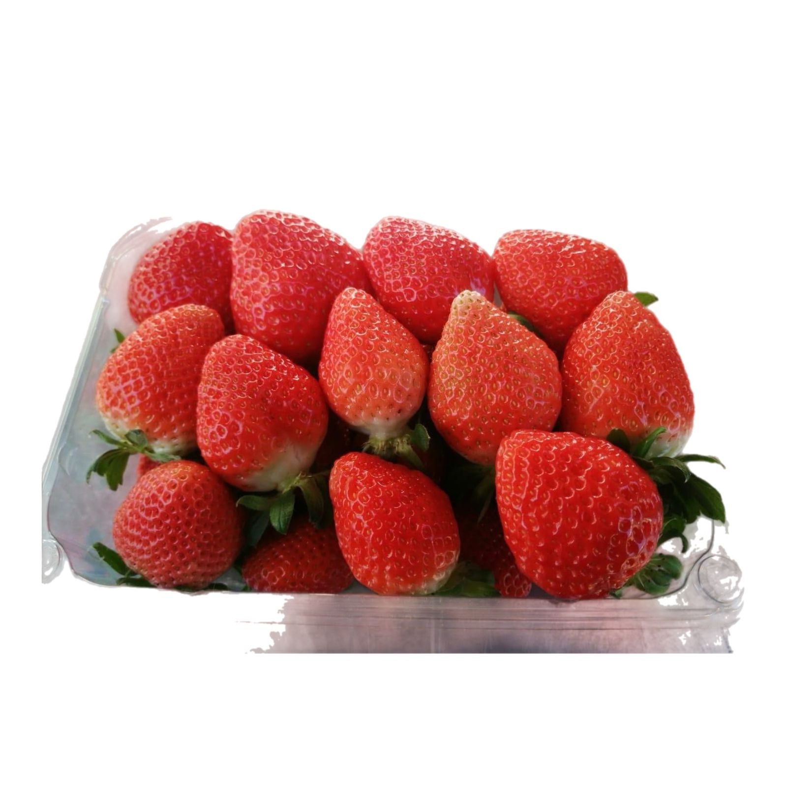 Fresa Fresca Domo